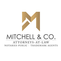 The mitchell firm