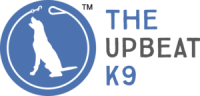 The upbeat k9