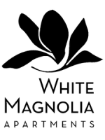 The white magnolia