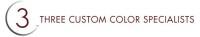 Three custom color specialists