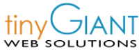 Tiny giant web solutions