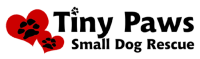 Tiny paws rescue