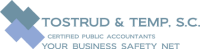 Tostrud & temp, s.c. certified public accountants