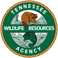 Tennessee wild