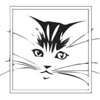 Tori tako wind designs