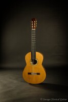 Traphagen guitars