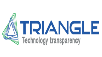 Triangle computer services