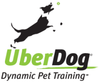 Uberdog training