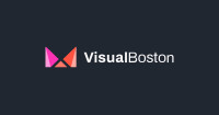 Visualboston