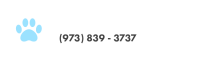 Wayne animal hospital