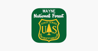 Wayne national forest