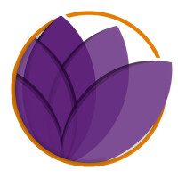 Clairvoyance, llc