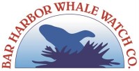 Bar harbor whale watch co.