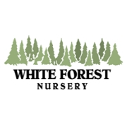 White forest nursery