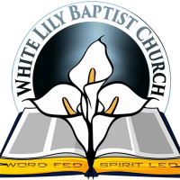 White lily baptist church