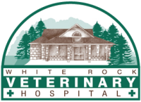 White rock veterinary hospital