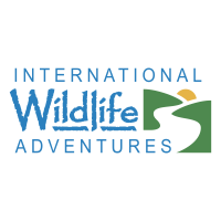International wildlife adventures