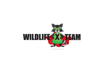 Wildlife x team north texas