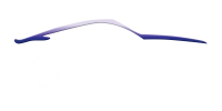Wilkins auto body