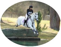 Willow south riding school