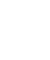 Wise branding group