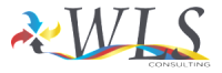 Wls consulting