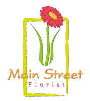 Watertown main street florist