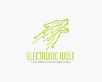 Wolff electronic design