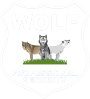 Wolf professional services ltd