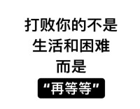 无言(wuyan)