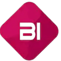 X + b.i consulting