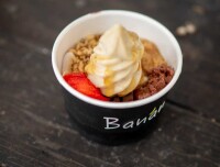 Yooglers frozen yogurt usa