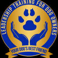 Your dogs best friend