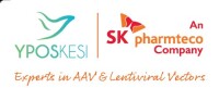 Yposkesi