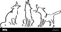 3 dog howl