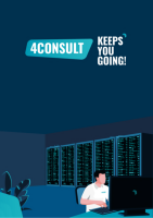 4consult b.v.