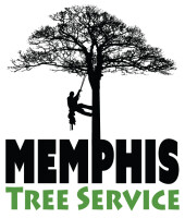 Tree guys tree service