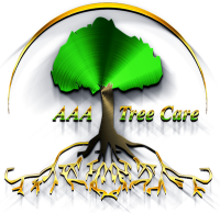 Aaa tree care