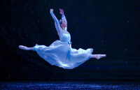 Marin Ballet