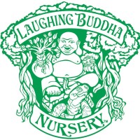 Laughing Buddha Nursery