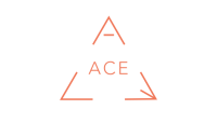 Ace business consultants