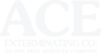 Ace pest services