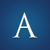Acedemand it consulting services