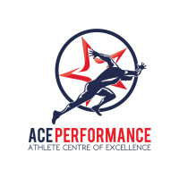 Ace performance group