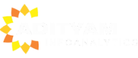 Adityam infoanalytics private limited