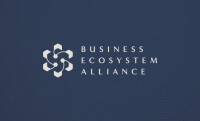 Alliance business valuations