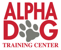 Alpha dog training team