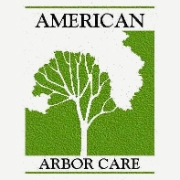 American arbor care