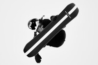 Shaun white enterprises