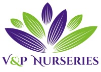 American wholesale nurseries